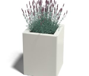 Gepoedercoat Staal Plantenbak Miami 30x30cm diverse hoogtes