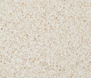 Benostone Terrazzo 93.00 Verzoet diverse afmetingen NTBN32